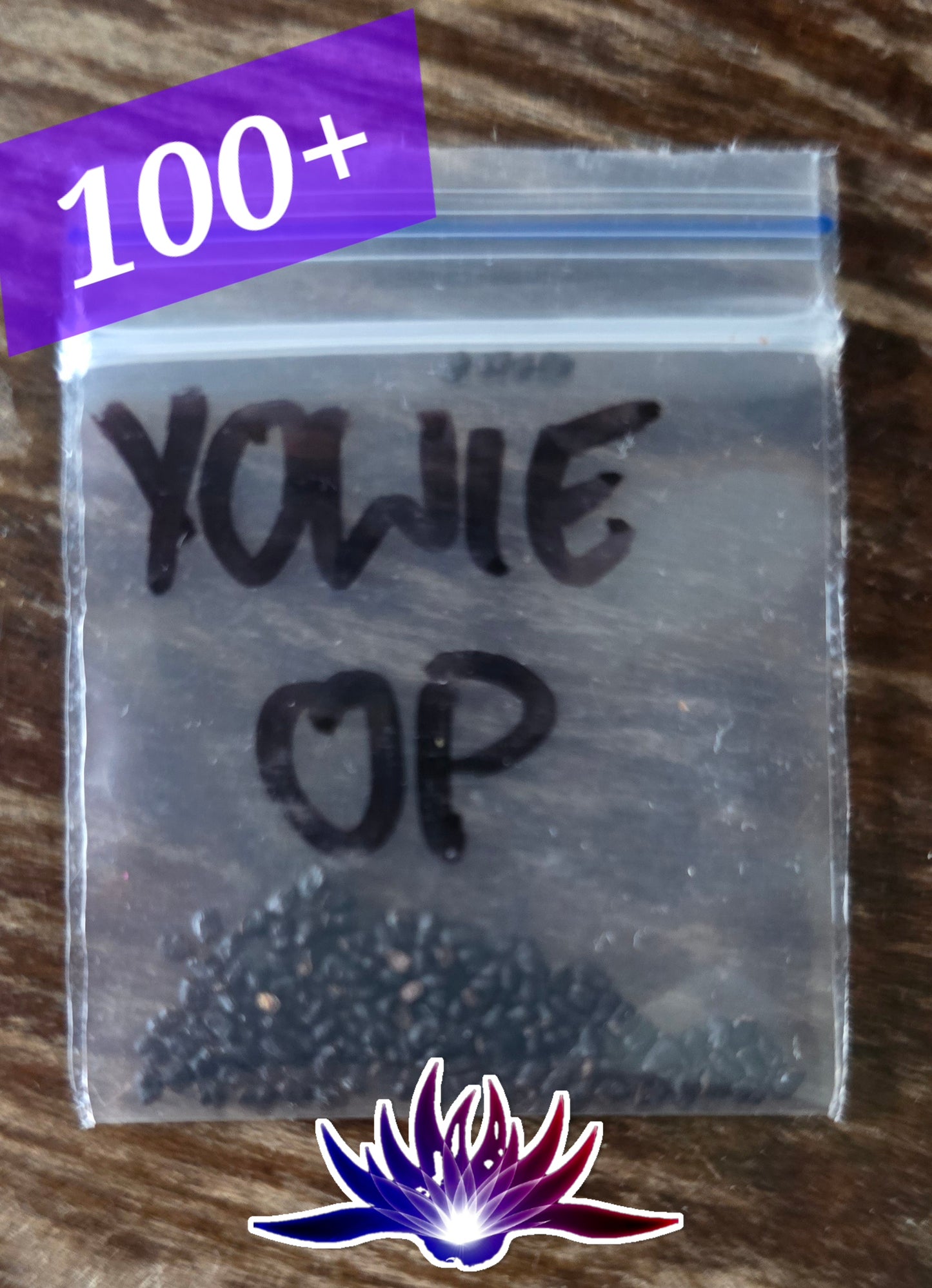 Trichocereus Pachanoi "Yowie" 100 Seeds