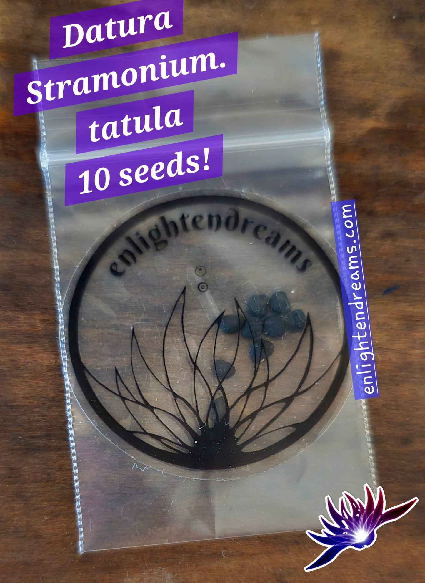 10 Datura S. Tatula Seeds